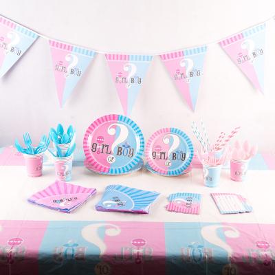 China Morden Gender Reveal Party Decoration Boy Or Girl Banner Tableware Baby Shower Disposable Latex Confetti Balloons Photo Prop Supplies for sale