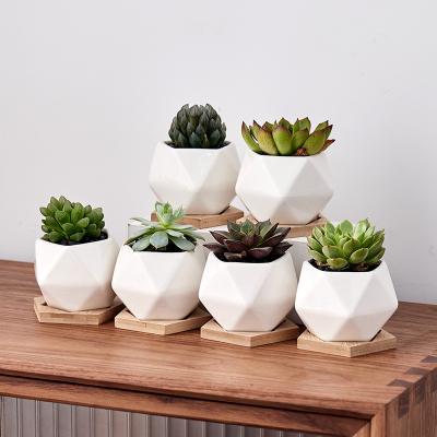 China Creative pure white tabletop flowerpot of traditional ceramic succulent flowerpot with pentagonal tray for sale