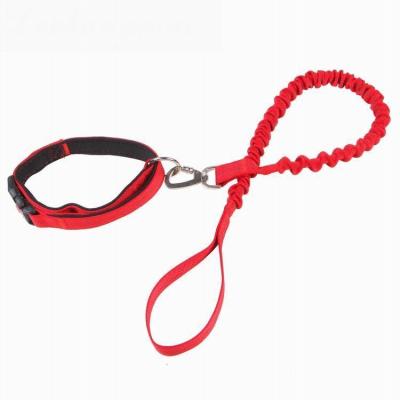 China Handmade Organic Natural Advance Collar Pet Leash Dog Leash Ombre Effect Rope Pull Quick Release Gradient Cotton Multi Colors for sale