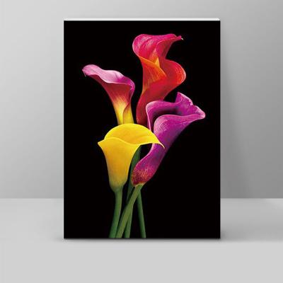 China Living Room New Rubik's Cube Eco-Friendly Diamond Painting Calla Lily Diy Diamond Painting Diamond Custom Decorative Painting Full Drill for sale