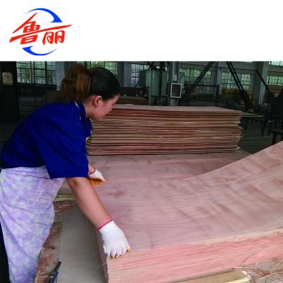 China A Grade Rotary Cut Natural Wood Veneer 1220*2440mm for sale