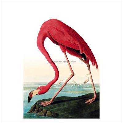 China Fine Brushwork Bird Painting John James Audubon Fine Brushwork Hanging Art Deco Gift Frameless Painting for sale