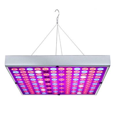 China Seed Starting Planting Lamp High Quality Full Spectrum Indoor LED Plant Growth Supplement Light Best Selling Indoor Lamp for sale