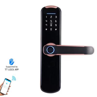 China Ttlock App Digital Wood Electronic Fingerprint Lock Smart Door IC Card Password Mobile Phone Remotely Open Smart Home for sale