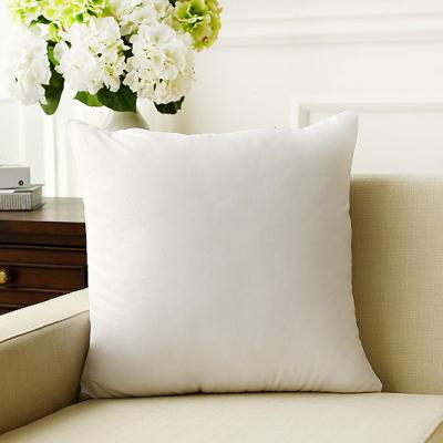 China Quality Sustainable Hot Selling Bedding All Season European Pillow Pane for sale