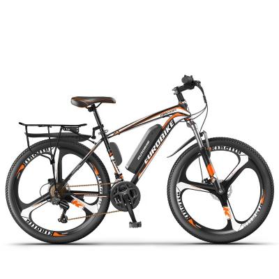 China Steel factory electric bike conversion kit with battery charging electric bicycle adults electric bike for sale