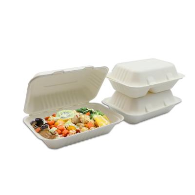 China Biodegradable Plastic - Free Sustainable Packaging Bento Delivery Takeaway Disposable Food Container Box for sale