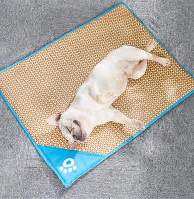 China Viable dog cat summer bed training mat is waterproof for pet carrier and cages pet training products for sale