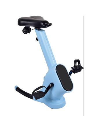 China Commercial Use Home Office Ergonomic Height Adjustable Exercise Desk Bike With Table for sale