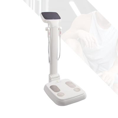 China Body Composition Analysis Muscle Fat Analysis Folding Portable Design Makes This Body Composition Analyzer Easy To Store And Transport for sale