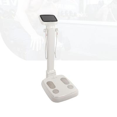 China Body Composition Analysis Muscle Fat Analysis White LCD Display Stand On Total Body Composition Analyzer for sale