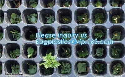 China plastic nursery tray seedling tray have different numbers cups,Plastic Flowers Seedling Hydroponics Nursery Trays, BIO for sale