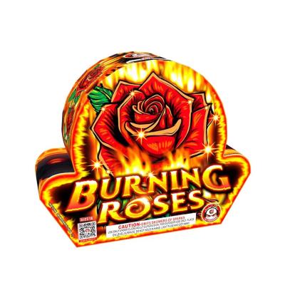 China 200G Outdoor Consumer Fountain Fireworks Burning Roses 20x26x165  18x22x95mm for sale