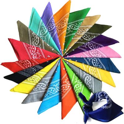 China Decorate Hip Hop Multifunctional Headband Flower Cashew Flower Bandana Cotton Paisley Scarf Square Handkerchief For Women Men for sale