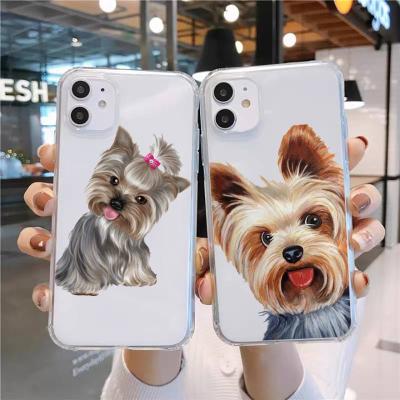 China Transparent Anti-drop York County Terrier Dog Phone Case For iPhone 11 12 mini pro XS max 8 7 6 6S plus X 5S XR 2020 Se for sale