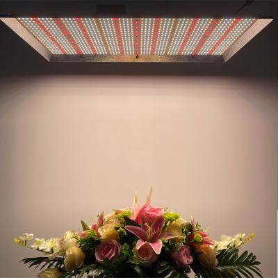 China High Efficiency 300W 300 Watt Full Spectrum and 730nm Far Red Led Grow Lights For Indoor Plants for sale