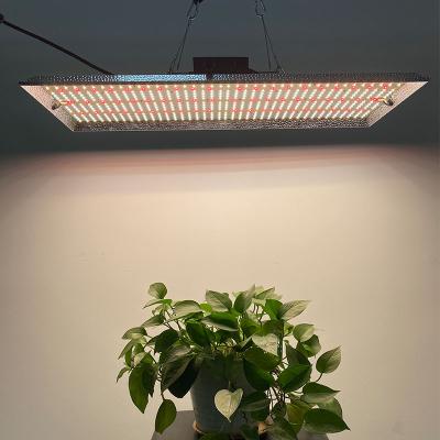 China EU US Hot Sale Full Spectrum 3x3 300w Plant Light Led Grow Light 350W For Home Hobbyist for sale