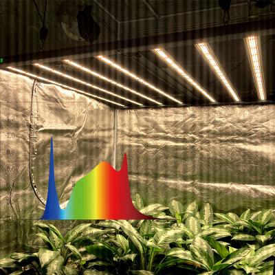 China Foco Grow Lights 800W Gavit Dimmable 800 Watt 1000 Watt Led Grow Light For Home Hobbyist And Professionals for sale