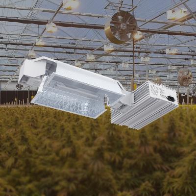 China New Arrival Farm 650w Grow Light mushroom greenhouse tomato cucumber Hydroponic ull Spectrum Grow Light HPS 1000W for sale