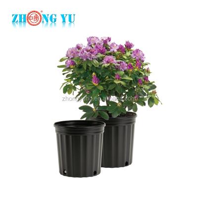 China Modern China Made Black Round And Square Stand Plant Flower Pots For Sale Greenhouse Nursery Flower Plants for sale