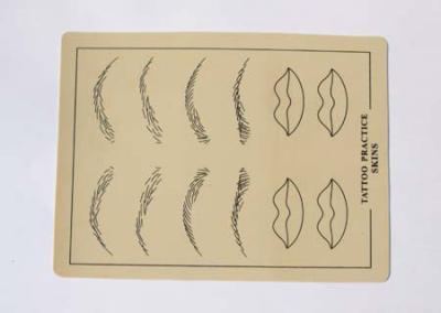 China Eyebrow Lip Tattooing Practice Skin To Study Permanent Make Up Eco Friendly for sale