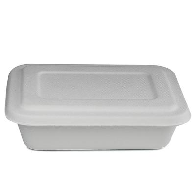 China Food factory manufacture Eco-friend 850ml disposable lunch box takeaway food container with lids for sale