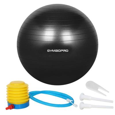 China Eco-friendly PVC 75CM Yoga Exercise Balance Recovery Fitness Ball With Foot Pump for sale