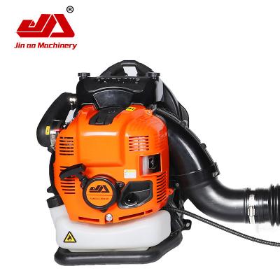 China Cold Gas Blower 2200W Petrol Vacuum Cleaner And Wireless Blower for sale