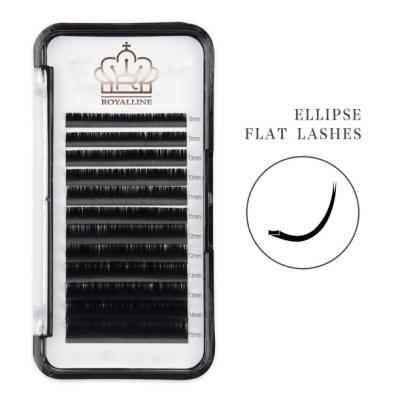 China Wholesale Free Shipping Natural Korean Silk Long Eyelash Extension Different Eyelash Extensions for sale