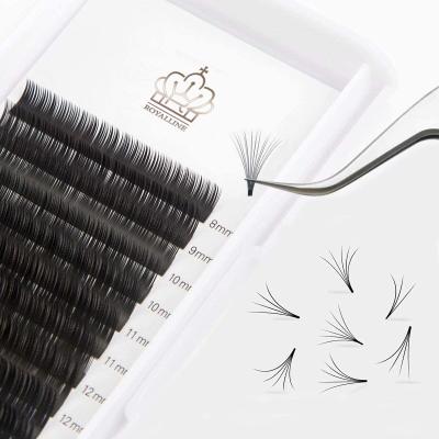 China Long Fan Eyelash Natural Easy Fanning Extensions Quick Free Sample Extension With Blooming Lashes Wholesale Price for sale