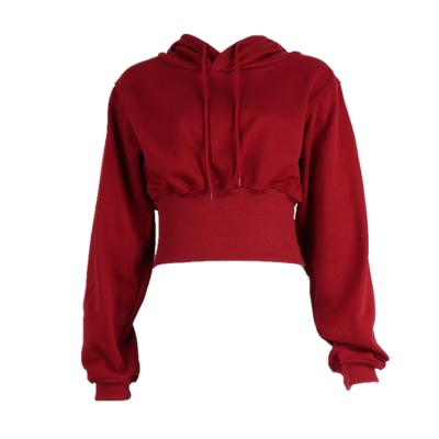 China High Quality Plain Hooded Anti-Wrinkle Sweater Cotton Solid Grow Long Sleeves Women Top Hoodie For Gym for sale