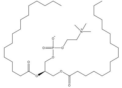 China 1,2-Dipalmitoyl-sn-Glycero-3-Phosphocholin (63-89-8) zu verkaufen