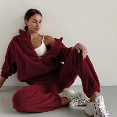 China Breathable Women's Cashmere Suit Clothes Knitted Female Turtle Neck Wool Cashmere Sweater Pant 2 Pieces Set Women Sweater Knit Two Piece Set for sale