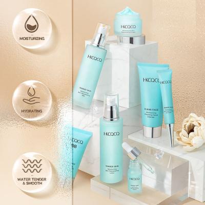 China Face Factory Direct Sales Customize Luxury Skin Care Set Moisturize Skin Rejuvenation Autumn Winter Hydration Skincare 9 Piece Set for sale