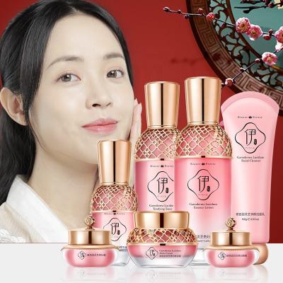 China Dermatologist Tested Product Hypoallergenic KOREAN Private Label COSMETICS - Korea Beauty Whitening Facial Skin Care Anti Aging - Noble Palace Woman Skin Care Set for sale