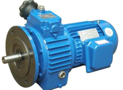 China UD Planetary Gearbox Worm Gear Reducer Mechanical Speed Variator for sale