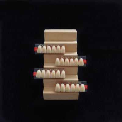 Cina Incisor (2×1)×16 Dental Acrylic Resin Composite Denture VITA System False Teeth in vendita