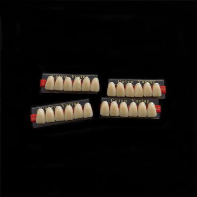 중국 Stain Resistance Dental Artificial Teeth Acrylic Resin Incisor 2x1 Manufacturer CE ISO Composite Dentadura 판매용