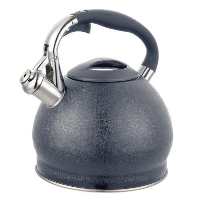 China Sustainable Hot Sale OEM ODM Modern Gas Induction Stainless Steel Stove Top Tea Pots & Whistling Kettles for sale