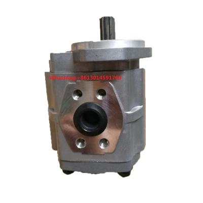 China Machinery Repair Shops Hydraulic Pump 67110-22020-71 for Toyota Forklift 3FD10, 3FD15 for sale