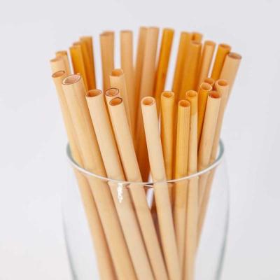 China 100% Disposable Natural and Biodegradable Tubular Drinking Straw for sale