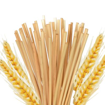 China Custom Disposable 100% Natural Biodegradable Natural Wheat Drinking Straw for sale