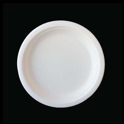 China 9 Inch Heatable Disposable Bagasse Pulp Tableware Biodegradable Sugarcane Dishes For Restaurant for sale