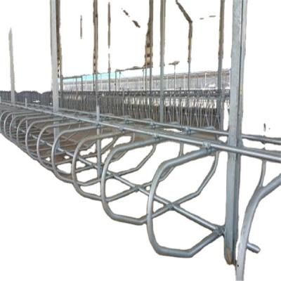 China Farms Factory Price Cow Force Collar and Bedding Device for Cattle Farm for sale