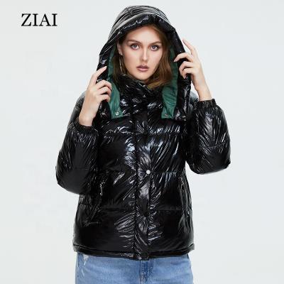 China Windproof Zipper Up Cotton Padded Jacket Plus Size Designer Padded Coat Bubble Coat Custom Girls Padded Parka Wholesale for sale