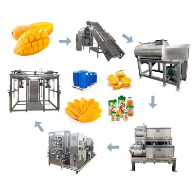 China food & Beverage Factory Mango Products Production Line Processing Machinery Mango Pulp Production Line for sale