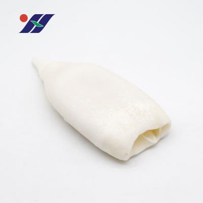 China Wholesale nutritious the tube high quality frozen frozen squid product seafood clothing hanging squid for sale