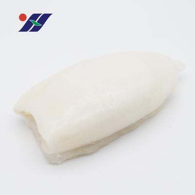 China Nutritious the semi-finished frozen hanging ice squid tube production and processing, and wholesale the high-grade frozen seafood product for sale