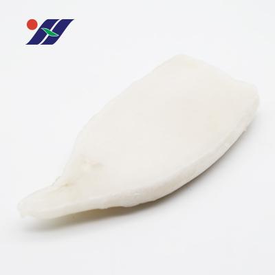 China Nutritious wholesale frozen seafood products, squid frozen tube ice hanging clothes in hot sales for sale