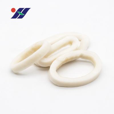 China Nutritious export fresh frozen squid rings hanging frozen seafood products and ice clothes for sale